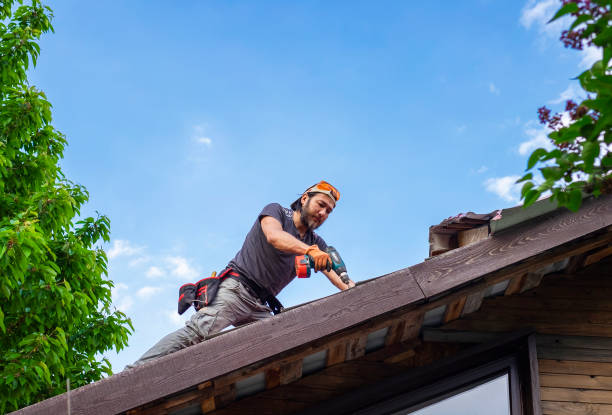 Best Skylight Installation and Repair  in USA